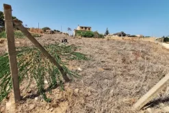 #24275 Appezzamento di terreno per attività agricole