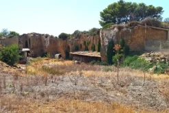 #24275 Appezzamento di terreno per attività agricole