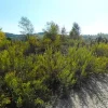 #24564 Appezzamento edificabile in zona produttiva