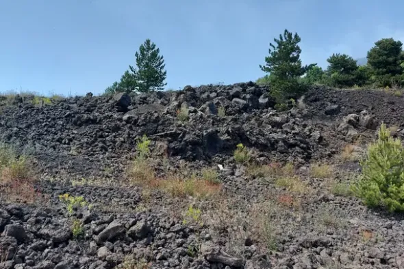 #21169 Appezzamento incolto alle pendici dell’Etna
