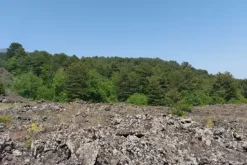 #21169 Appezzamento incolto alle pendici dell’Etna