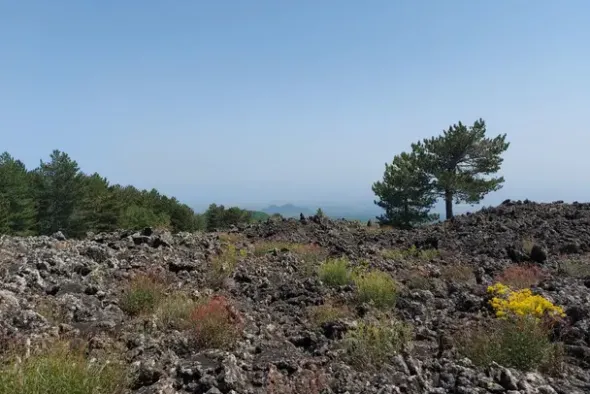 #21169 Appezzamento incolto alle pendici dell’Etna
