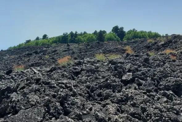 #21169 Appezzamento incolto alle pendici dell’Etna