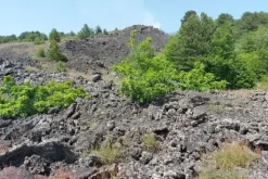 #21169 Appezzamento incolto alle pendici dell’Etna