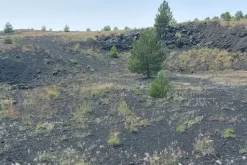 #21169 Appezzamento incolto alle pendici dell’Etna