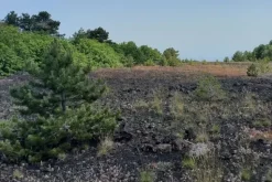 #21169 Appezzamento incolto alle pendici dell’Etna