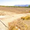 #2638145 Appezzamento in fascia di rispetto stradale
