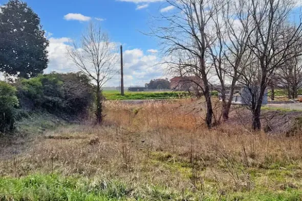 #20197 Appezzamento per verde attrezzato da frazionare