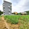 #24080 Area edificabile di 1236 mq in zona residenziale