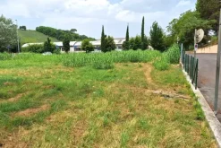 #24080 Area edificabile di 1236 mq in zona residenziale