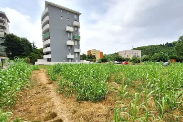 #24080 Area edificabile di 1236 mq in zona residenziale