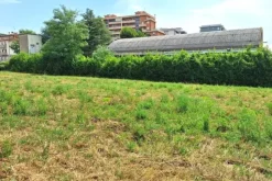 #24073 Area edificabile di 1141 mq in zona residenziale