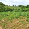 #24072 Area edificabile di 1294 mq in zona residenziale