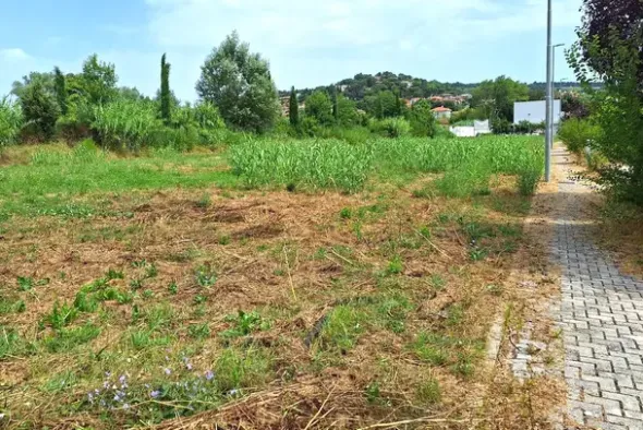 #24072 Area edificabile di 1294 mq in zona residenziale