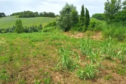#24072 Area edificabile di 1294 mq in zona residenziale