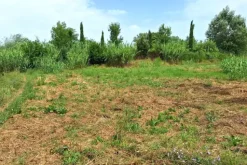 #24072 Area edificabile di 1294 mq in zona residenziale