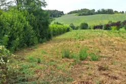#24073 Area edificabile di 1141 mq in zona residenziale