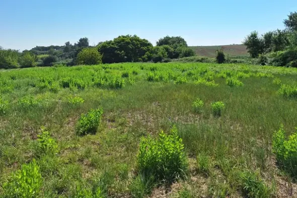 #21687 Area edificabile residenziale di 3069 mq
