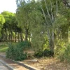 #2638660 Area per attrezzature di interesse collettivo