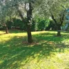#22018 Area per giardino su sponde del Lago d’Iseo