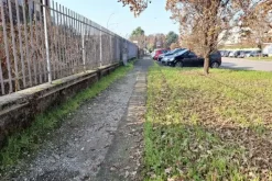 #25132 Area pertinenziale di 300 mq