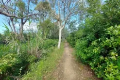#21170 Area residenziale e turistico-ricettiva da bonificare