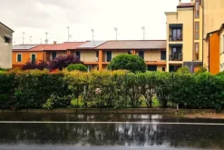 #23780 Area urbana adibita a giardino condominiale