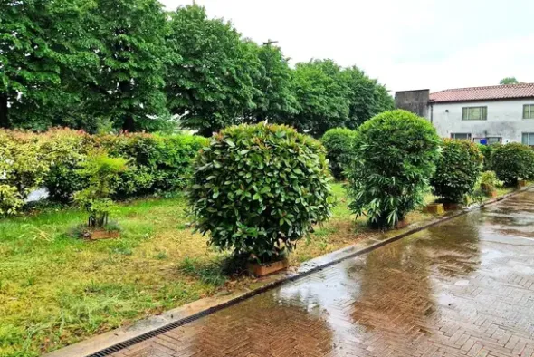 #23780 Area urbana adibita a giardino condominiale