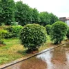#23780 Area urbana adibita a giardino condominiale