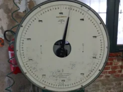 37#8259 Arredi e attrezzature per lavorazione e tintura pelli