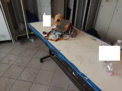 3#7049 Arredi e attrezzature per officina e ufficio
