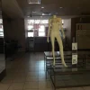 14#7897 Arredo e attrezzature negozio abbigliamento