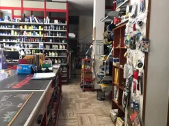 ATTIVITA' COMMERCIALE DI RICAMBI E ACCESSORI AUTO