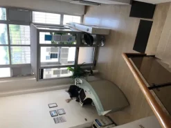 attivita srl a socio unico