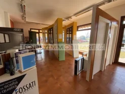 Attività avviata