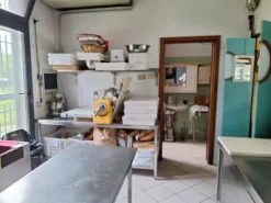 #23746 Attività di forno/pasticceria