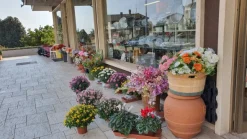 Attività retail con clientela fidelizzata e magazzino