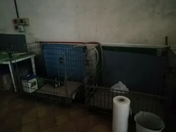 1#3966 Attrezzature e macchinari di cantina vitivinicola