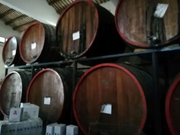 1#3966 Attrezzature e macchinari di cantina vitivinicola