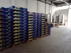1#3966 Attrezzature e macchinari di cantina vitivinicola