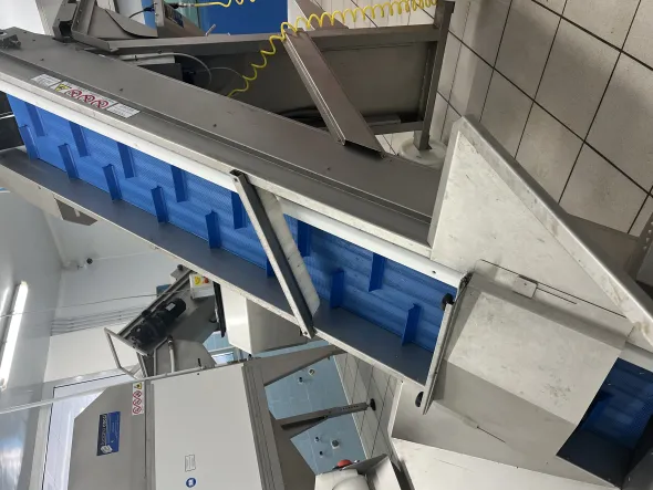 Attrezzature Linea Lavorazione Molluschi