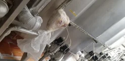 1#7331 Attrezzature per produzione di latte e derivati