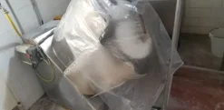 1#7331 Attrezzature per produzione di latte e derivati