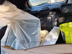 2#9730 Autovettura Ford Kuga