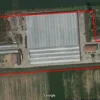 azienda floricola