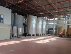 AZIENDA VITIVINICOLA
