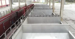 AZIENDA VITIVINICOLA