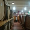 #10800 Azienda vitivinicola con terreni agricoli