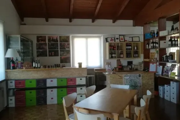 #10800 Azienda vitivinicola con terreni agricoli