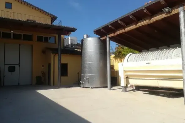#10800 Azienda vitivinicola con terreni agricoli